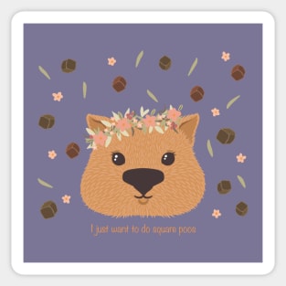 Wombats Have Square Poo Sticker